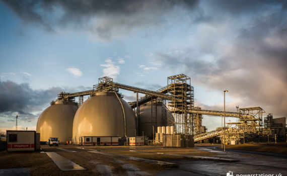 Biomass storage domes